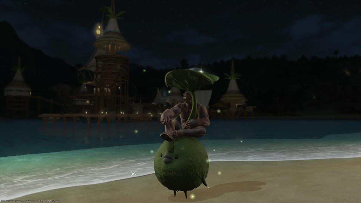 FF14ルガディンの水着姿