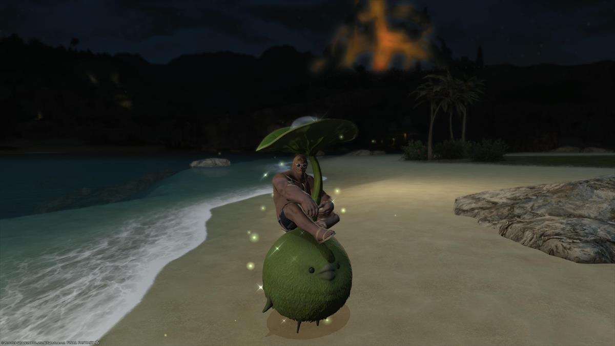 FF14ルガディンの水着姿