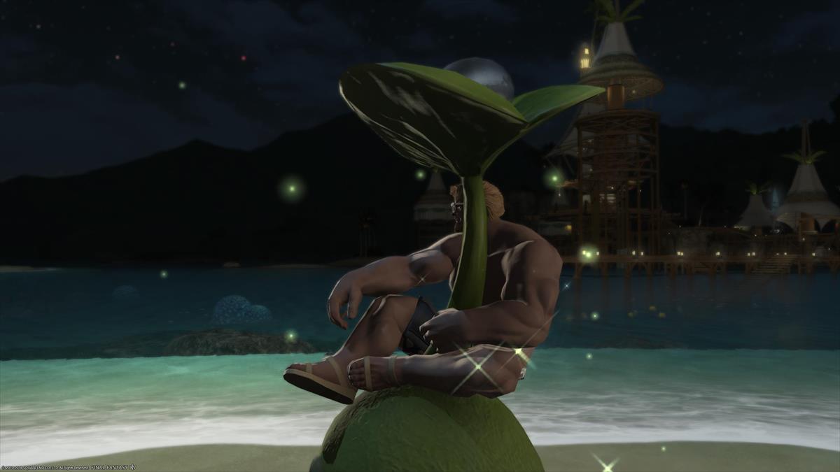 FF14ルガディンの水着姿