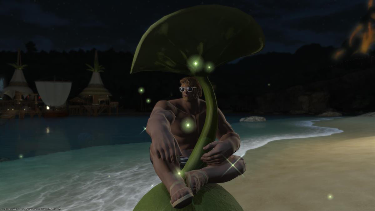 FF14ルガディンの水着姿