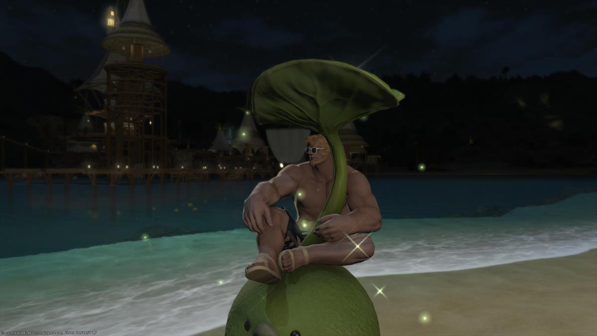 FF14ルガディンの水着姿