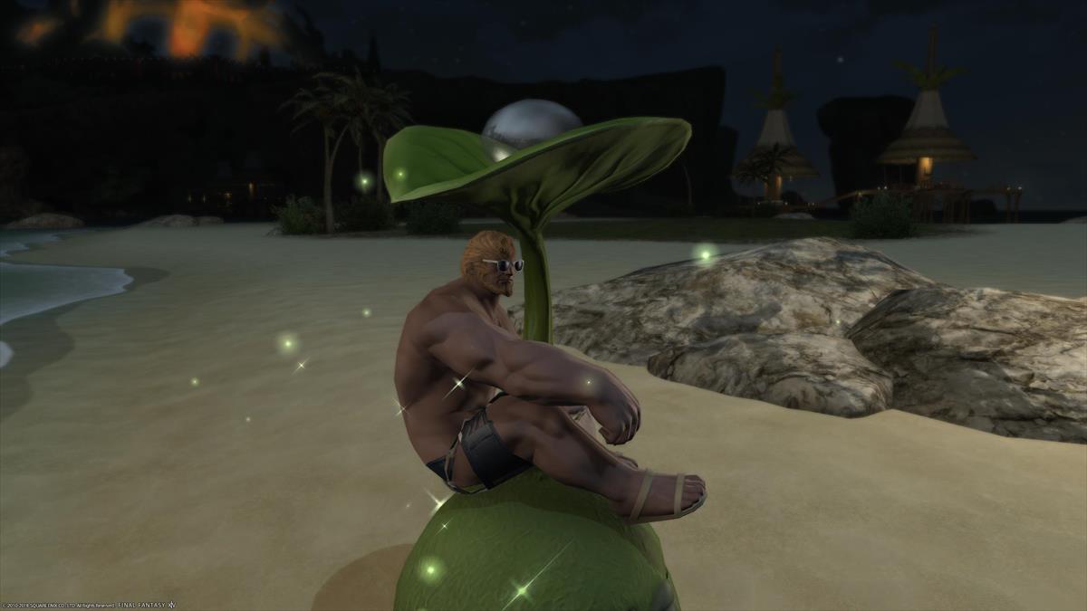 FF14ルガディンの水着姿