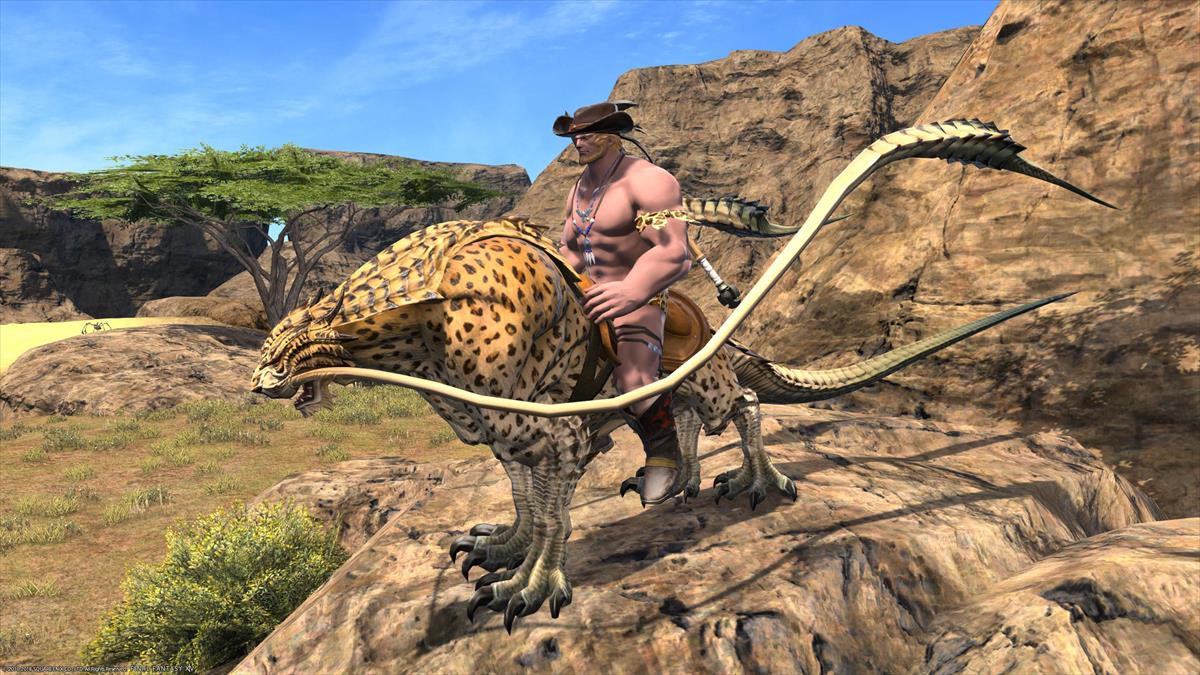 FF14ルガディンの水着姿